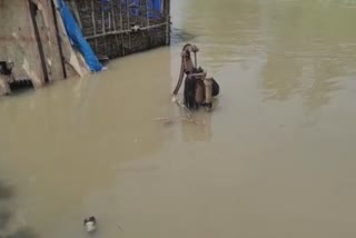 Flood in Purnea