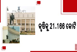 Odisha Budget 2022-23: କୃଷିକୁ ମିଳିଥିବା ୨୧,୧୬୬ କୋଟିରୁ କାଳିଆ ଯୋଜନାକୁ ସର୍ବାଧିକ ୧,୮୭୪ କୋଟି