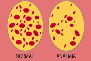 Loss of blood can be fatal for the body