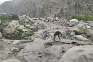 Cloud burst in mayad valley