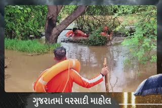 Rain in Anand: બોરસદના સિસવા ગામનો બેહાલ ચોતરફ પાણી પાણી, પરિસ્થતિ બની કફોડી