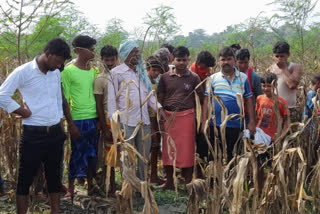 बेगूसराय में लापता बच्चे का शव मिला