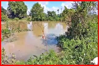 A Teenager boy drowned in Dimau river at Moran