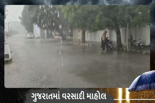 Rain In Dwarka : દ્વારકા જિલ્લામાં અષાઢી મેઘ મહેર મળ્યો જોવા