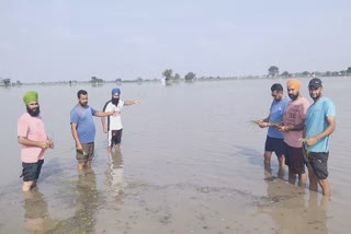 first rains of the monsoon are a disaster for farmers, submerged crops