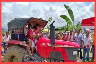 Agriculture department Providing succour to flood-affected farmers through community nurseries at Bokakhat