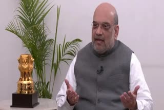 Amit Shah in bjp national executive meeting