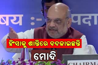 BJP Executive Meeting: ୨୦୨୪ ସୁଦ୍ଧା ଉତ୍ତର-ପୂର୍ବ ରାଜ୍ୟର ସମସ୍ୟା ସମାଧାନ ହେବ କହିଲେ ଅମିତ ଶାହା