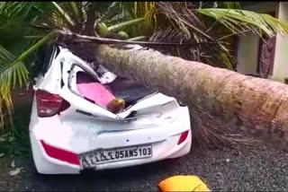 കനത്ത മഴയിൽ കോട്ടയം പൊൻപള്ളിയിൽ കാറിനു മുകളിൽ മരം വീണു  coconut tree fell down on car at Kottayam  Heavy rain in kerala  kerala weather updates  കേരളത്തില്‍ ശക്തമായ മഴ  മഴക്കെടുതികള്‍