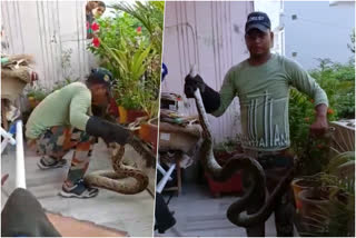 Watch: Giant python crawls up into second floor balcony in Haridwar  python caught from balcony in Haridwar  python caught from balcony  Haridwar python caught from balcony  ഹരിദ്വാര്‍  ബാല്‍ക്കണിയില്‍ നിന്നും പെരുമ്പാമ്പിനെ പിടികൂടി