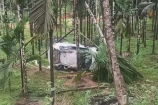 A car lost control and enter a Arconut plantation