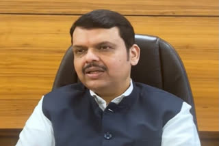 Opposition by pseudo environmentalists to Metro car shed in Aarey could be sponsored says Devendra Fadnavis