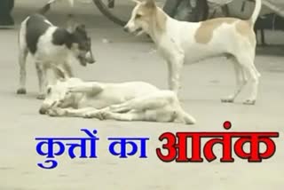 dog attack on 4 month old girl in vadodara gujarat