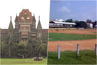 bombay high court to bcci  bombay high court on public grounds basic facilities issue  bcci  maharashtra cricket association  public ground faciliteis in maharashtra  മഹാരാഷ്‌ട്ര പൊതു മൈതാനങ്ങള്‍  ബോംബെ ഹൈക്കോടതി  ബിസസിഐ  മഹാരാഷ്‌ട്ര ക്രിക്കറ്റ് അസോസിയേഷന്‍