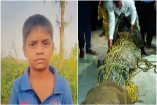 crocodile killed child in Khatima