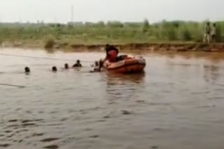 youth drowned in panchkula tangri river