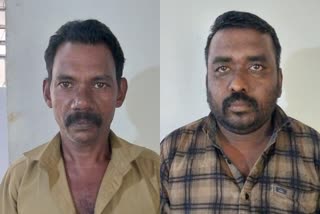 Two arrested With ganja Kakanattupadi  മൂന്ന് കിലോ കഞ്ചാവുമായി രണ്ടുപേര്‍ പിടിയില്‍  വധശ്രമ കേസ് പ്രതിയുൾപ്പെടെ രണ്ടുപേർ പിടിയില്‍