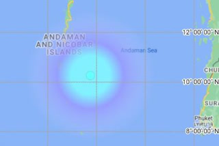 Earthquake of 4.3 magnitude hits Andaman and Nicobar Islands