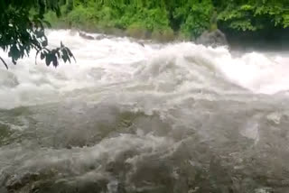 boy drowned in the kozhikode pathangazhath river  search for the boy drowned in the kozhikode pathangazhath river will continue today  search for the boy drowned in the kozhikode pathangazhath river  boy drowned in the kozhikode Kodanchery pathangazhath river  കോടഞ്ചേരി പതങ്കഴത്ത് ഒഴുക്കിൽപ്പെട്ട് പതിനേഴുകാരൻ  ഇന്നലെ വൈകിട്ട് ആറുമണിയോടെ പുഴയിൽ ഒഴുക്കിൽപ്പെട്ട് ഹുസ്‌നി  വെള്ളച്ചാട്ടം കാണാൻ എത്തിയ പതിനേഴുകാരൻ ഒഴുക്കിൽപ്പെട്ടു  പതങ്കഴത്ത് ഒഴുക്കിൽപ്പെട്ട് ഹുസ്‌നി  പതങ്കഴത്ത് ഒഴുക്കിൽപ്പെട്ട ഹുസ്‌നിക്ക് വേണ്ടി തെരച്ചിൽ പുനരാരംഭിച്ചു  പതങ്കഴത്ത് ഒഴുക്കിൽപ്പെട്ട ഹുസ്‌നിക്ക് വേണ്ടി തെരച്ചിൽ  പതങ്കഴത്ത് ഒഴുക്കിൽപ്പെട്ട ഹുസ്‌നിക്ക് വേണ്ടി തെരച്ചിൽ തുടരുന്നു