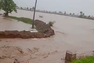 Heavy Rain In Amravati