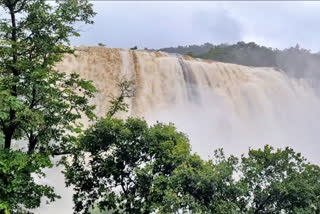 athirapally-falls-in-full-throttle-during-monsoon