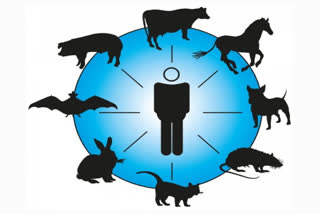 World Zoonosis Day, know the reasons of spreading zoonotic diseases