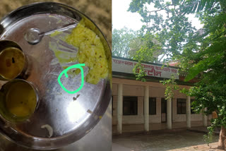 Insect in Jaipur Secretariat canteen food