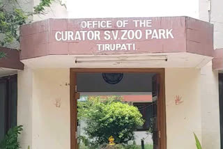 sv zoo park curator madhavarao