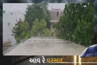 Rain in Bhavnagar : બપોરે મેઘરાજાએ કરી ધમાકેદાર બેટિંગ, કેવો વરસ્યો જૂઓ