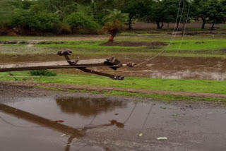 Youth died due to lightning in Pratapgarh