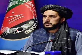 Afghanistan Cricket Board  अफगानिस्तान क्रिकेट बोर्ड  Cricket Board chief  Cricket Board chief arrested  फर्जी पत्र  fake letter