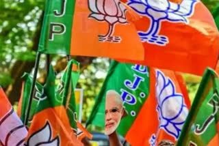 BJP's look extreme southward policy on cards