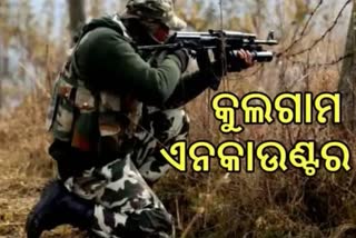 Kulgam Encounter: 2 ଆତଙ୍କୀଙ୍କ ଆତ୍ମସମର୍ପଣ