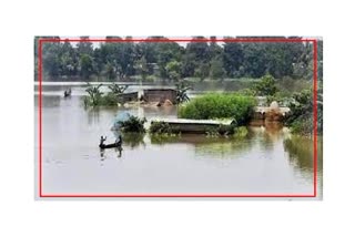 assam-floods-11-lakh-remain-affected-total-deaths-reach-184