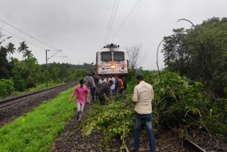 kottayam railway track  tree felled in the vaikom railway track  കോട്ടയത്ത് റെയിൽവേ ട്രാക്കിലേക്ക് മരം വീണു  റെയിൽവേ ട്രാക്കിൽ മരം വീണ് ഗതാഗത തടസ്സം  റെയിൽവേ ട്രാക്കിൽ ഗതാഗതം പുനസ്ഥാപിച്ചു  ഗതാഗതം പുനസ്ഥാപിച്ച് യാത്രക്കാർ  റെയിൽവേ ട്രാക്കിലേക്ക് മരം വീണ് ഗതാഗതം തടസ്സപ്പെട്ടു  അതിവേഗം ഗതാഗതം പുനസ്ഥാപിച്ച് യാത്രക്കാർ