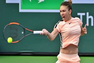 Wimbledon 2022  Simona Halep  Halep reaches semi-finals  Amanda Anisimova  विंबलडन 2022  अमांडा अनिसिमोवा  सिमोना हालेप  विंबलडन सेमीफाइनल 2022  Sports News