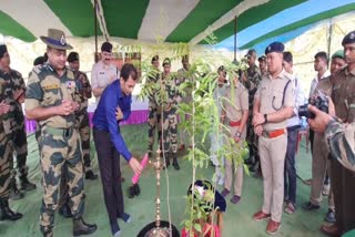 district level forest festival is celebrated at the BSF camp