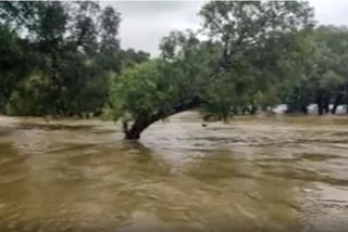 Red alert on Karnataka coast