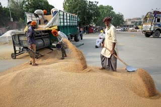 ଗହମ ପରେ ଅଟ ରପ୍ତାନୀ ଉପରେ କଟକଣା