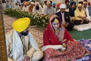 Punjab CM bhagwant mann wedding