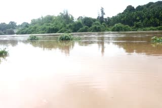 shringeri kappe shankara temple drowned in tunga river due to rain