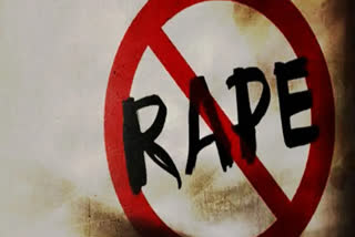 Two minors rape 7-year-old girl in Rajasthan's Nagaur