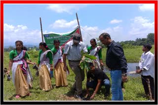 লখিমপুৰত সপ্তাহজোৰা ৭৩ সংখ্যক বন মহোৎসৱ উদযাপন