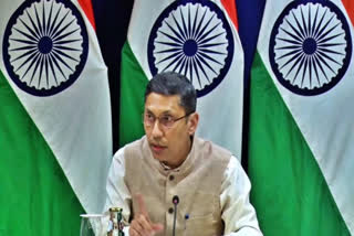 G20 events will be organised across country under India's presidency: MEA