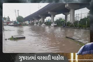 Rain in Navsari : નવસારી જિલ્લામાં સાર્વત્રિક વરસાદ, હાઇવે પર પાણી ભરાતા વાહનવ્યવહારને અસર