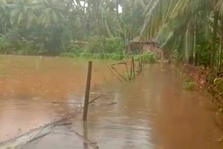 uttara-kannada-red-alert-rain-casecenter-in-three-taluks