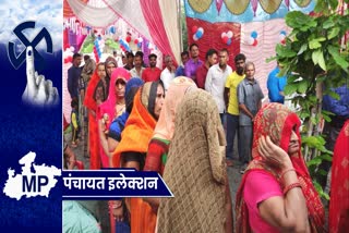 Voting in mahidpur and tarana of ujjain district