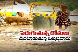 ఉమ్మడి పాలమూరు వాసులను బెంబేలెత్తిస్తోన్న సీజనల్​ వ్యాధులు