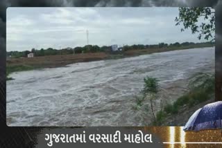 Monsoon Gujarat 2022: બોરતળાવમાં નવા નીર આવ્યા, બગડ ડેમ ફરી ઓવરફ્લો થયો