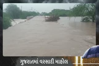 Monsoon Gujarat 2022: ધોરાજીમાં ધોધમાર વરસાદ, પંચનાથની સફૂરા નદી બે કાંઠે વહી